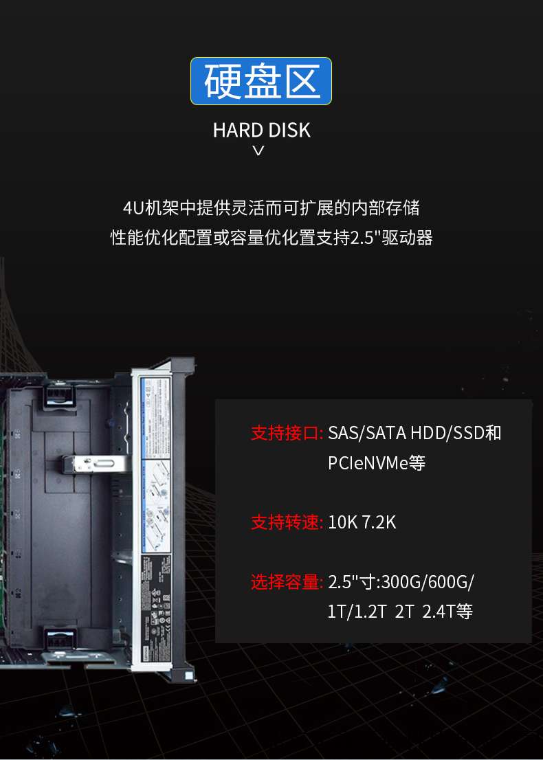 sr860_07.jpg