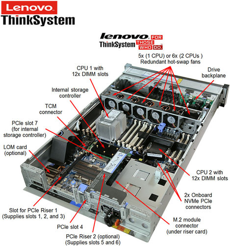 SR6503.jpg